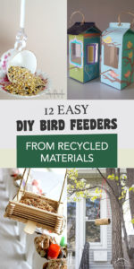 12 Easy DIY Bird Feeders from Recycled Materials