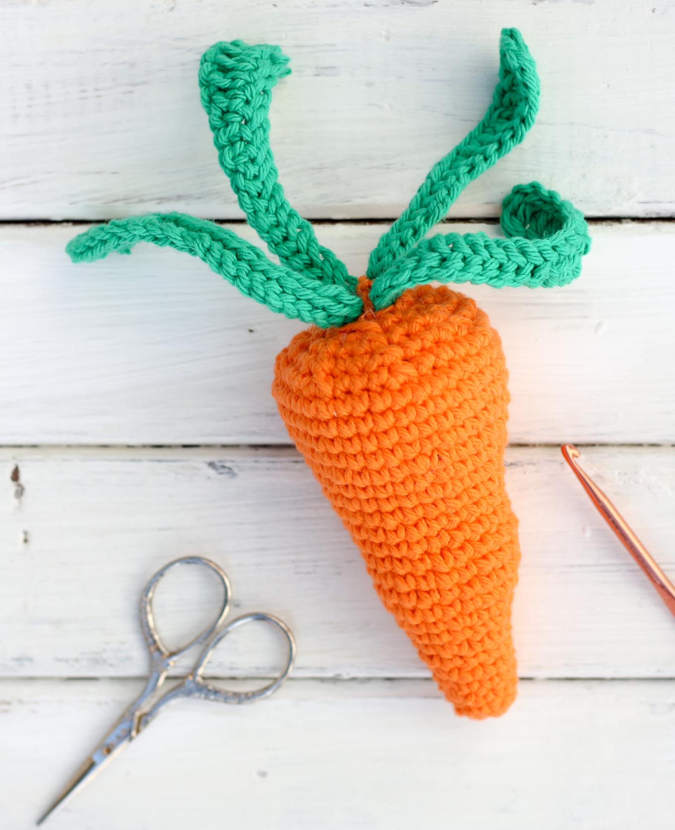 cute and colourful carrot