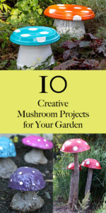 10 Creative Mushroom Projects for Your Garden