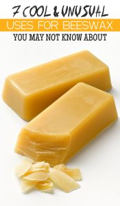 7 Cool and Unusual Uses for Beeswax You May Not Know About