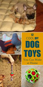 12 Cool DIY Dog Toys You Can Make at Home