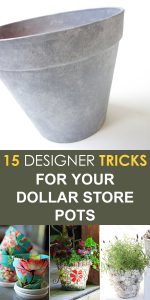 15 Designer Tricks for Your Dollar Store Pots