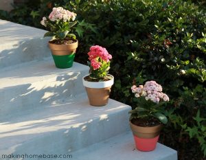 Paint flower pots with different colors