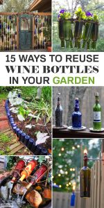 15 Awesome Ways to Reuse Wine Bottles in Your Garden