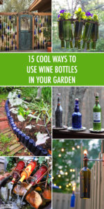 15 Cool Ways to Use Wine Bottles In Your Garden