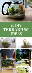 DIY Terrarium Ideas to Add Some Green to Your Decor