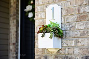 Address Planter Box with Succulents