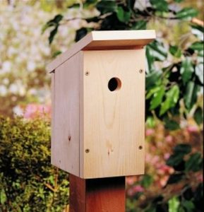 One-Board DIY Birdhouse