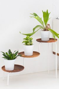 acacia wood plant stand