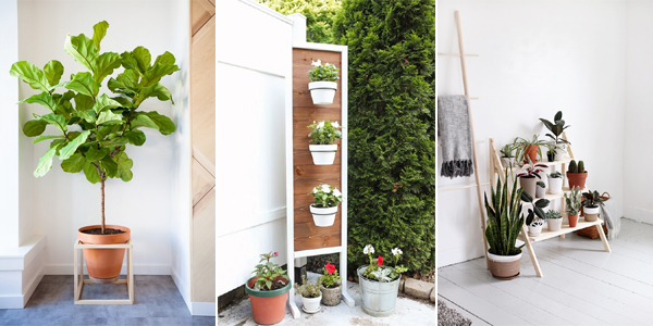 plant stand ideas