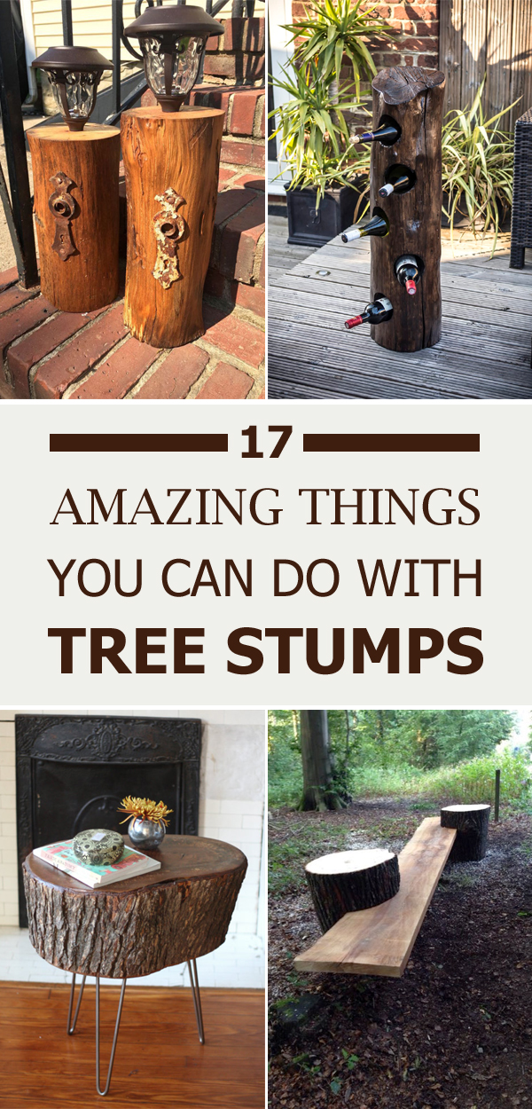 17 Amazing Things You Can Do With Tree Stumps