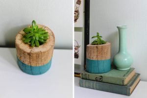 Tree Stump Planter