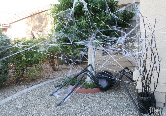 Giant Spider in Spiderweb