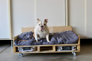 Pallet Dog Bed on Casters