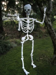 Skeleton Made of Plastic Bags