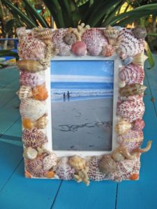 Seashell Frame