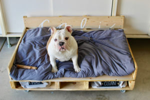 Pallet Dog Bed on Casters