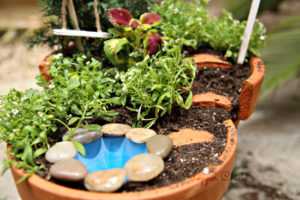 Fairy Garden Pond