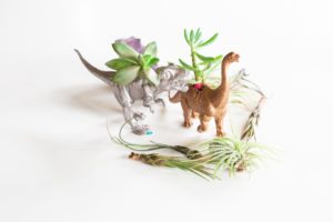 Plastic Toy Planters