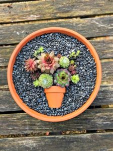 colourful succulent garden art